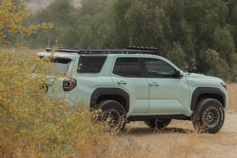 Toyota 4Runner Exterior Window Molle Panels - Passenger - DV8 Offroad - DV8 5th Gen 4Runner Roof Rack (RRTF3-02) - Black - `25-`26